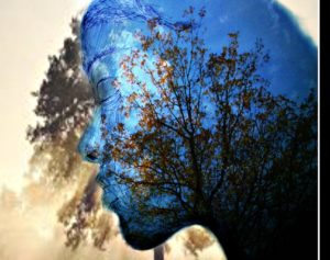 patrick verstappen Ataraxia Means a state of serene calmness.